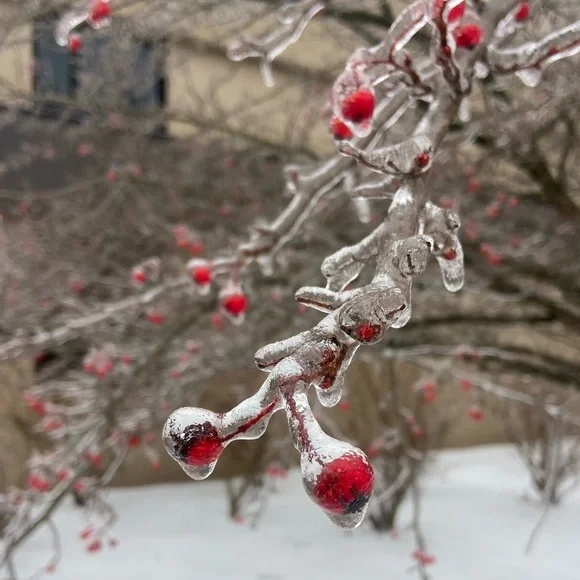 Hello! - Picture 3 of 3